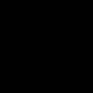 Meet your Posher, Gissele